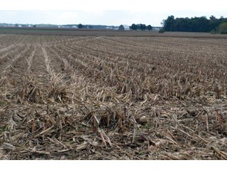 Property photo 87 - EHLE FARMS AUCTION - 118+/- ACRES IN 9 TRACTS IN ALLEN COUNTY, INDIANA